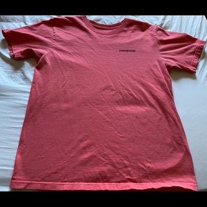 Patagonia tee